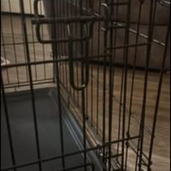 Little Cage 