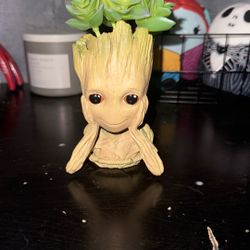 Groot Plant 
