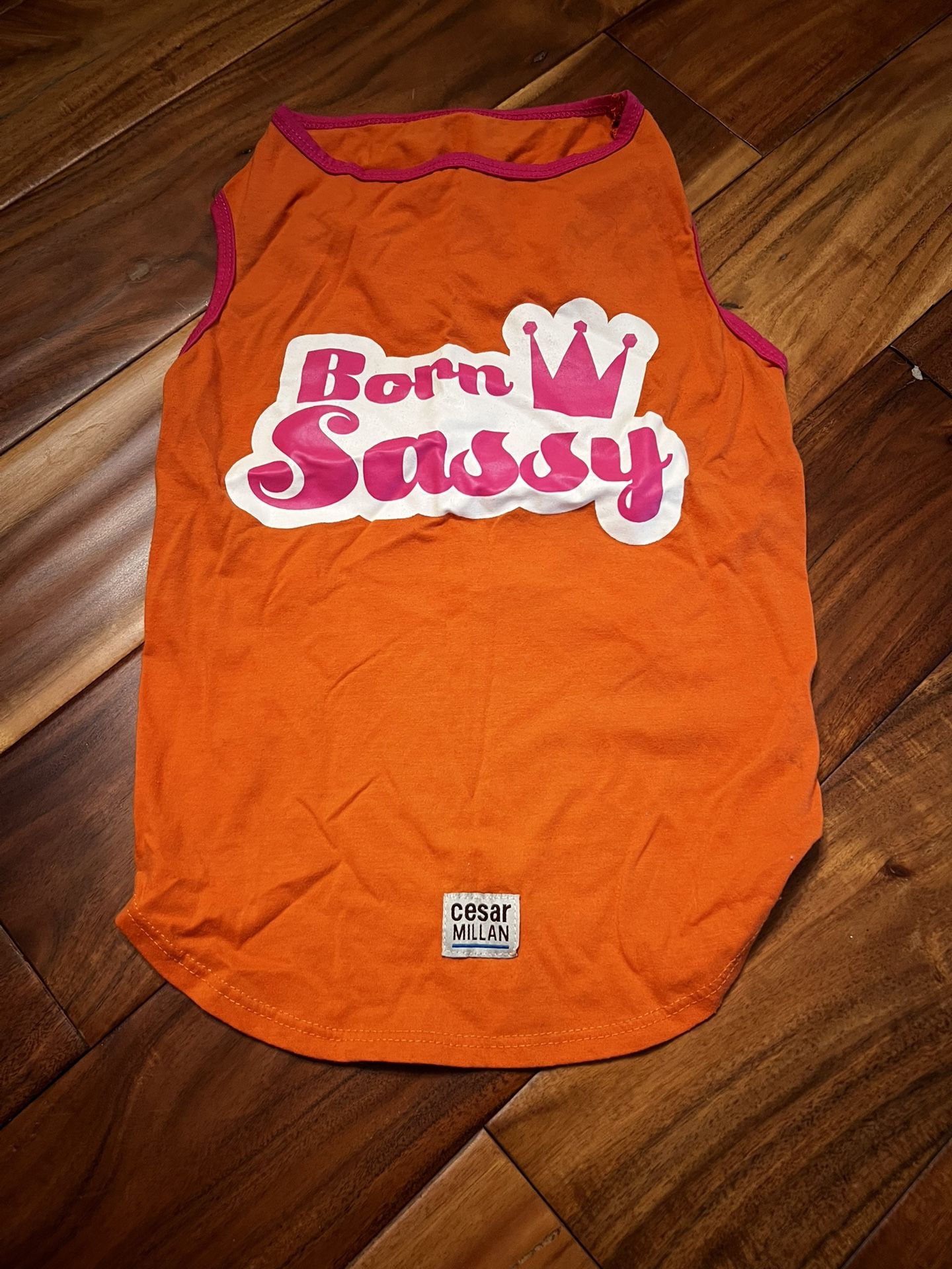 Pet dog Cesar Milan born sassy shirt. Size large