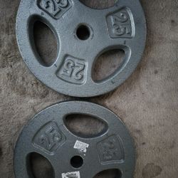 25LBS Weights