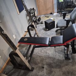 Weight Bench 