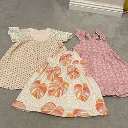 Little Girls 4/5 xxs dress lot