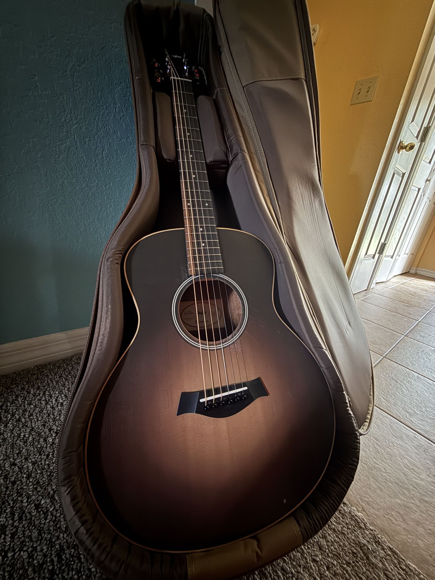 Taylor GS Mini