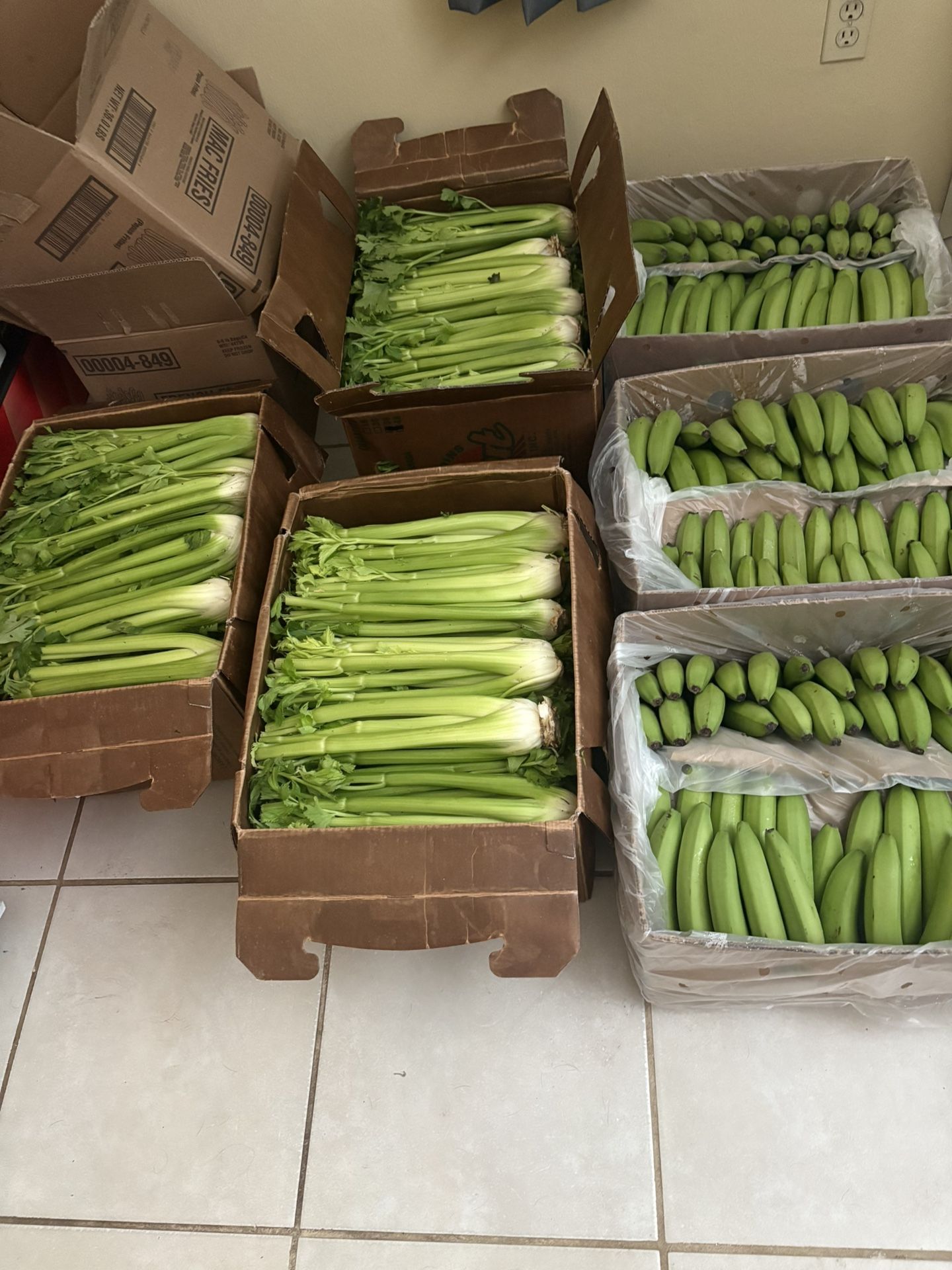 Organic Celery