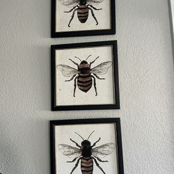 butterfly frame wall decor