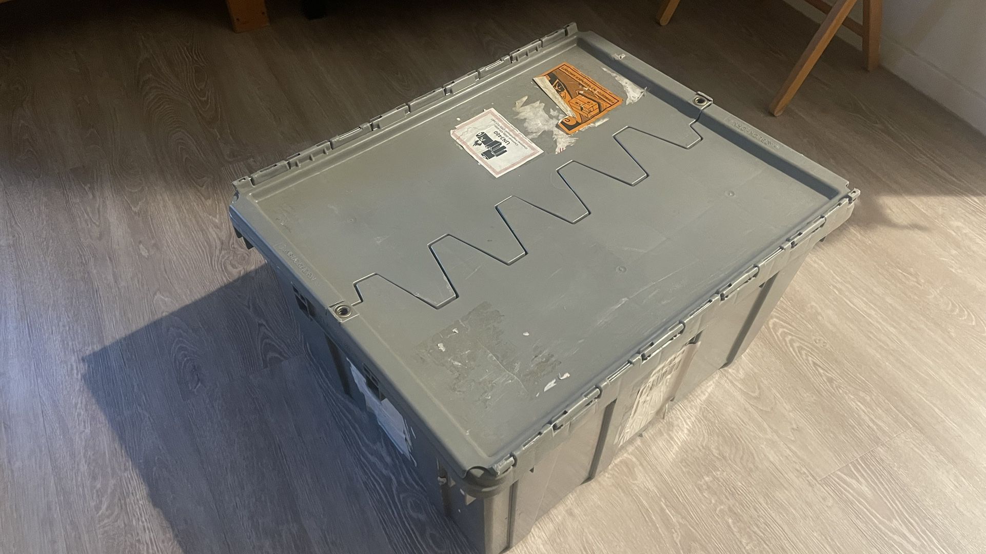 Buckhorn Storage Containers Totes - Sturdy