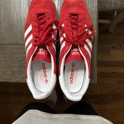 Men Gazelle Indoor 10.5