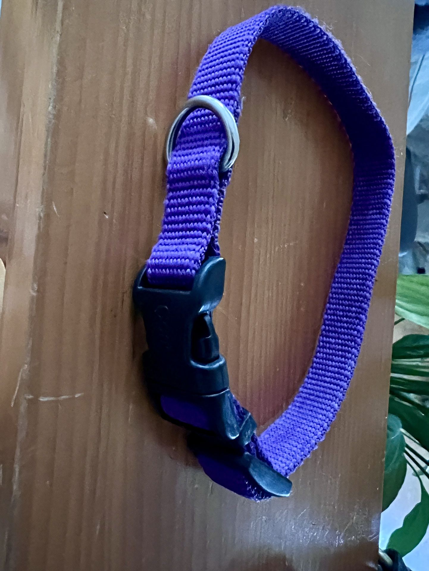 NEW Purple Nylon Pet Collar