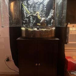 Reptile Enclosure/Terrarium With Humidifier And Other Items