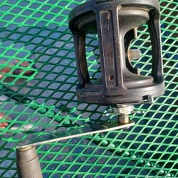 Daiwa Saltwater Reel