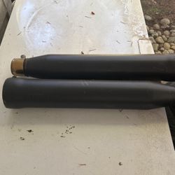 Cobra Neighbor Haters 