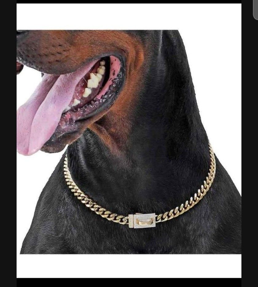 Diamond Dog Gold Chain Collar - 10mm Shiny Luxury Necklace Jewelry for Pets, 16 inch