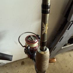 rod and reel