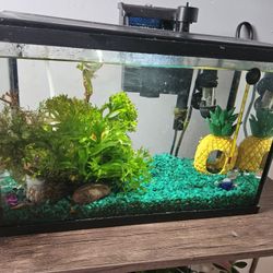 5 Gallon Fish Tank