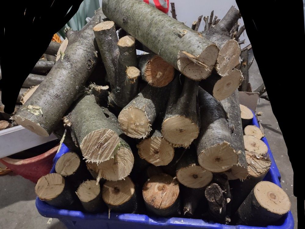 Organic Apple Wood- All Cut & "Air- Drying"!
