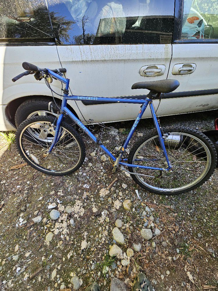 Vintage Fuji Suncrest Bike *See Description* 