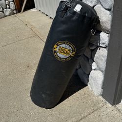 everlast punching bag