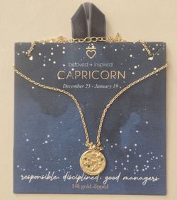 14K Gold Dipped Zodiac Capricorn Pendant Necklace