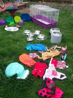 Dog small clothes and cat bowls