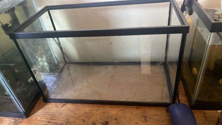 10 gallon aquarium