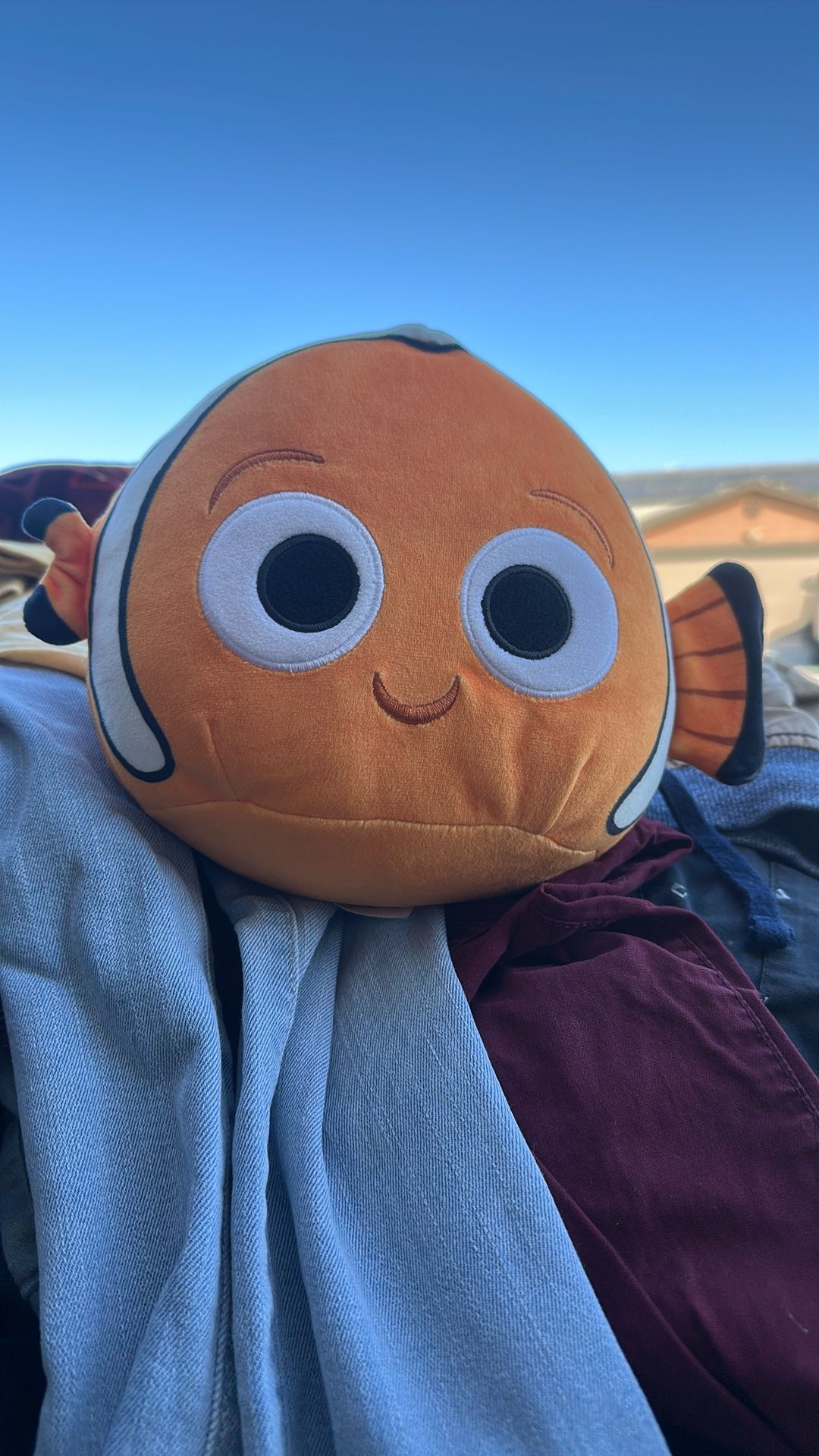 Nemo Squishmallow