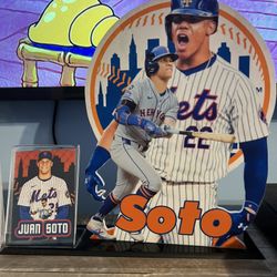 Juan Soto Room Decor 