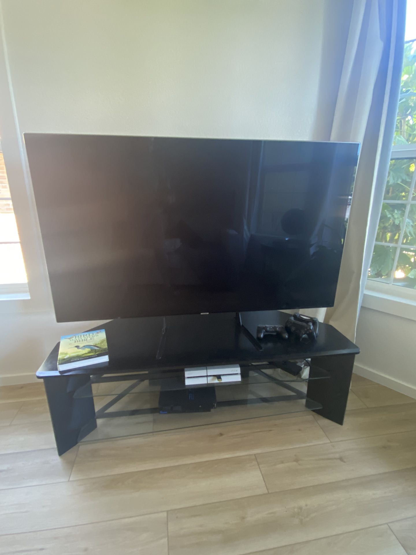 Black Entertainment Stand