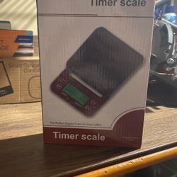 Timer Scale 