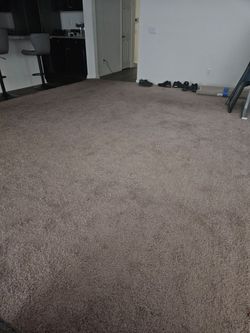 Carpet light brown