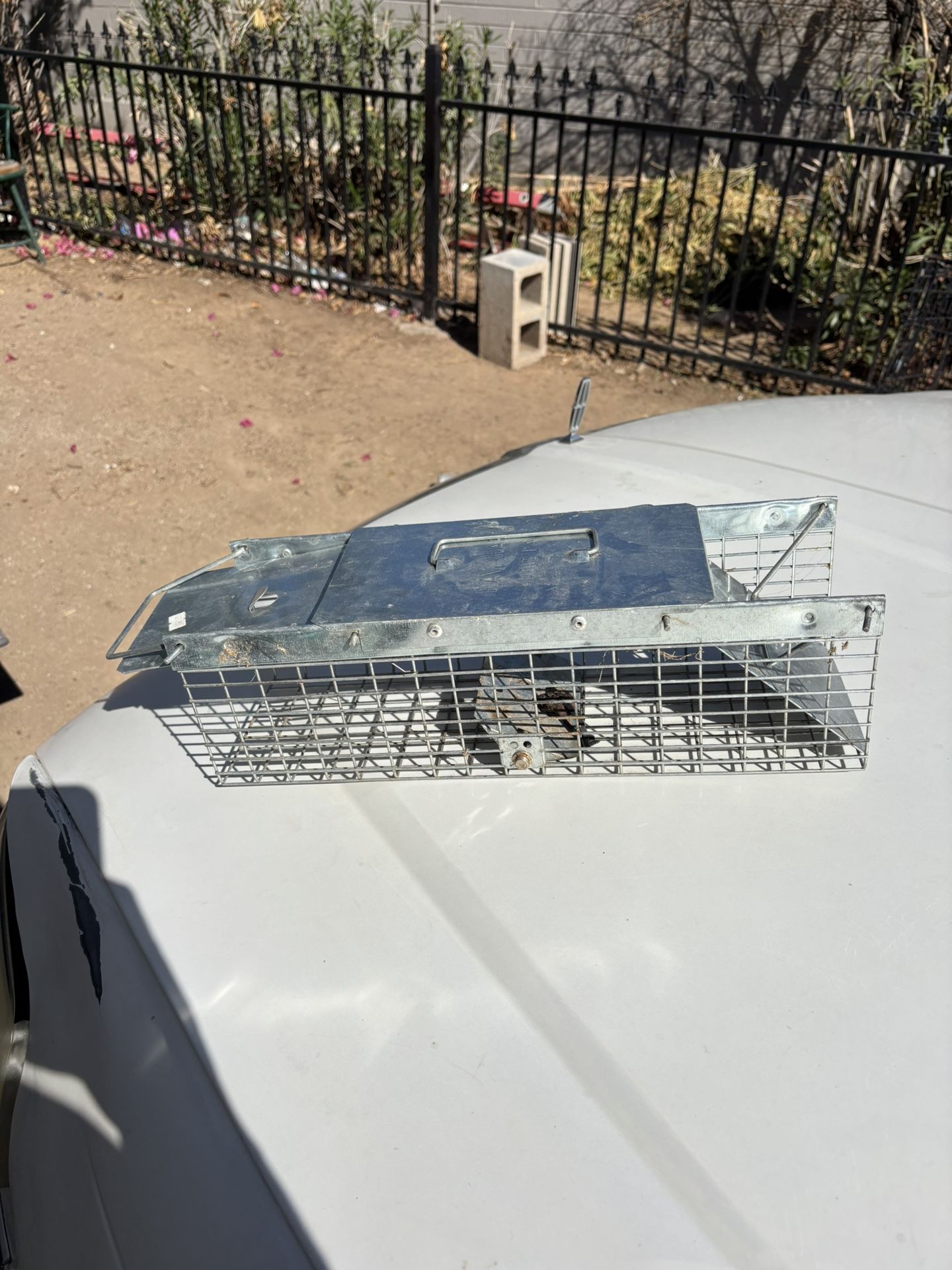 Pet Trap