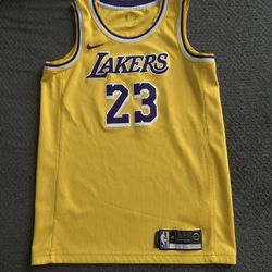 Lebron James Lakers Jersey Size Small 23