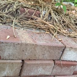 Bricks Bamfer pavers $1 per brick