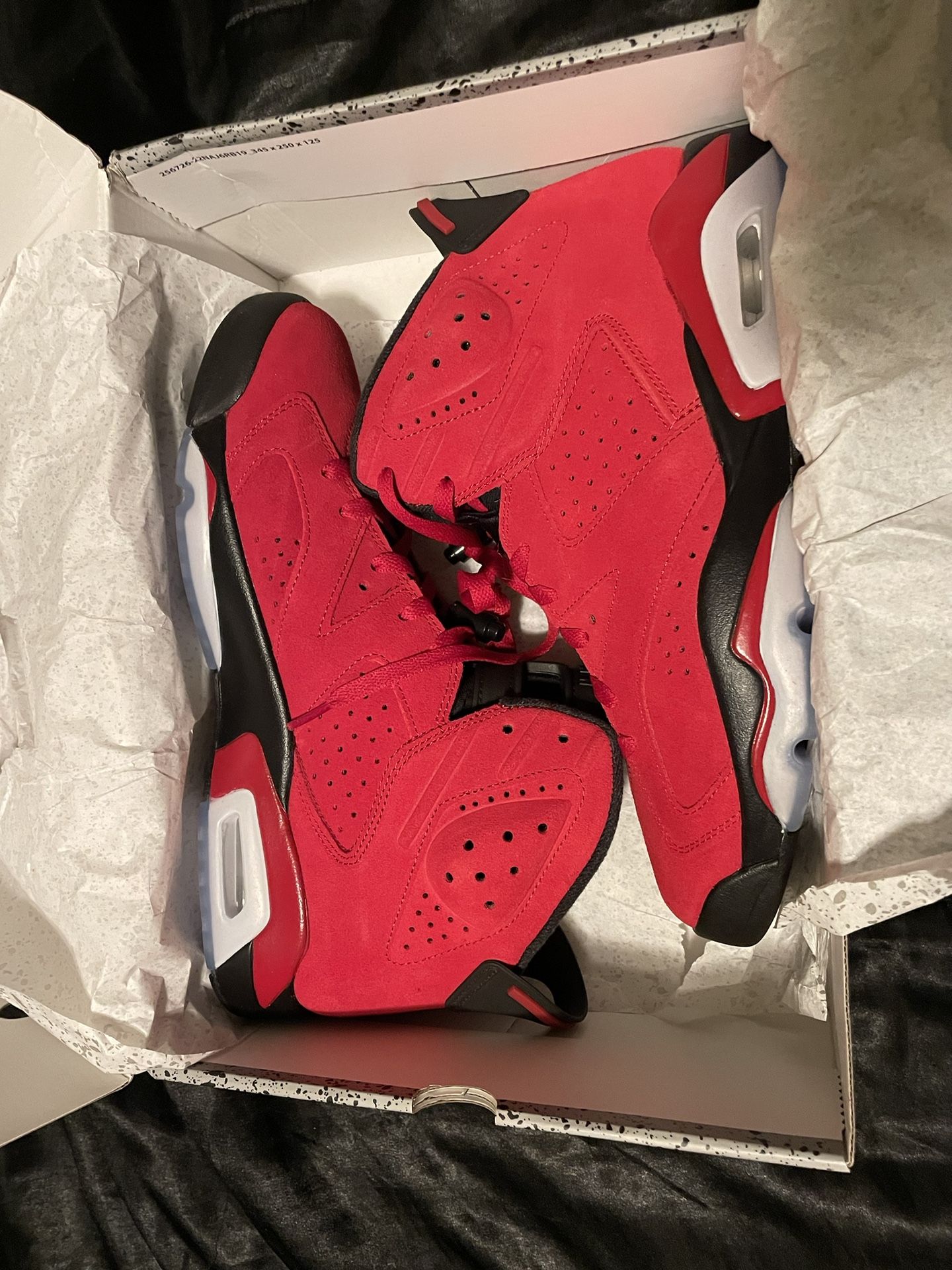 Jordan 6’s ( Brand New DS )