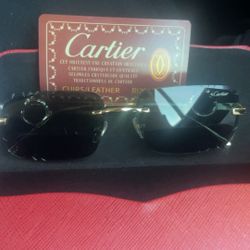 Cartier Shade Glasses 