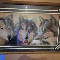Beautiful Wolf Print