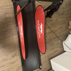 Dog Treadmill/pacer