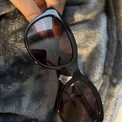 Women’s Coach Sunglasses Amber 