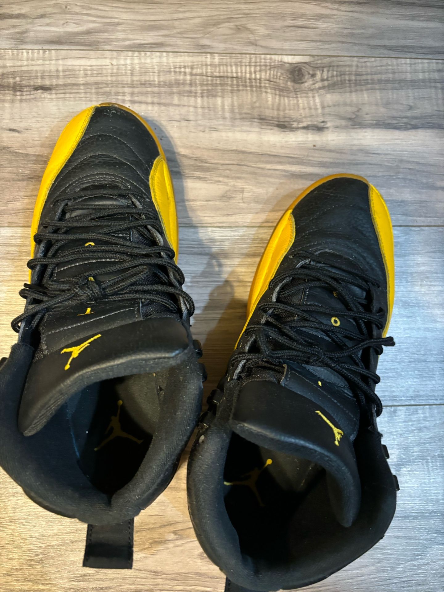 Jordan 12