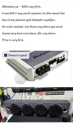 Phoenix gold bluetooth amp and voice box