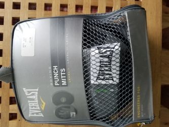 Everlast punch mitts