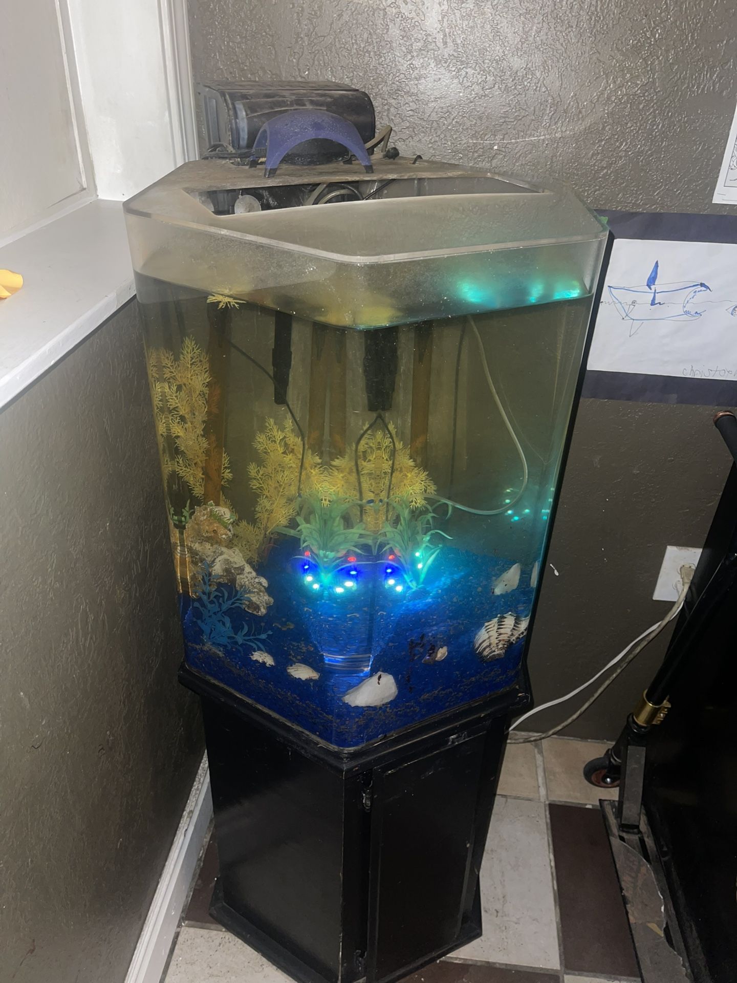 Hexagon Fish Tank With Stand