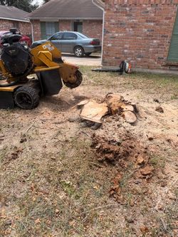 32 stump grinding