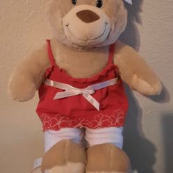 Build-A-Bear Teddy