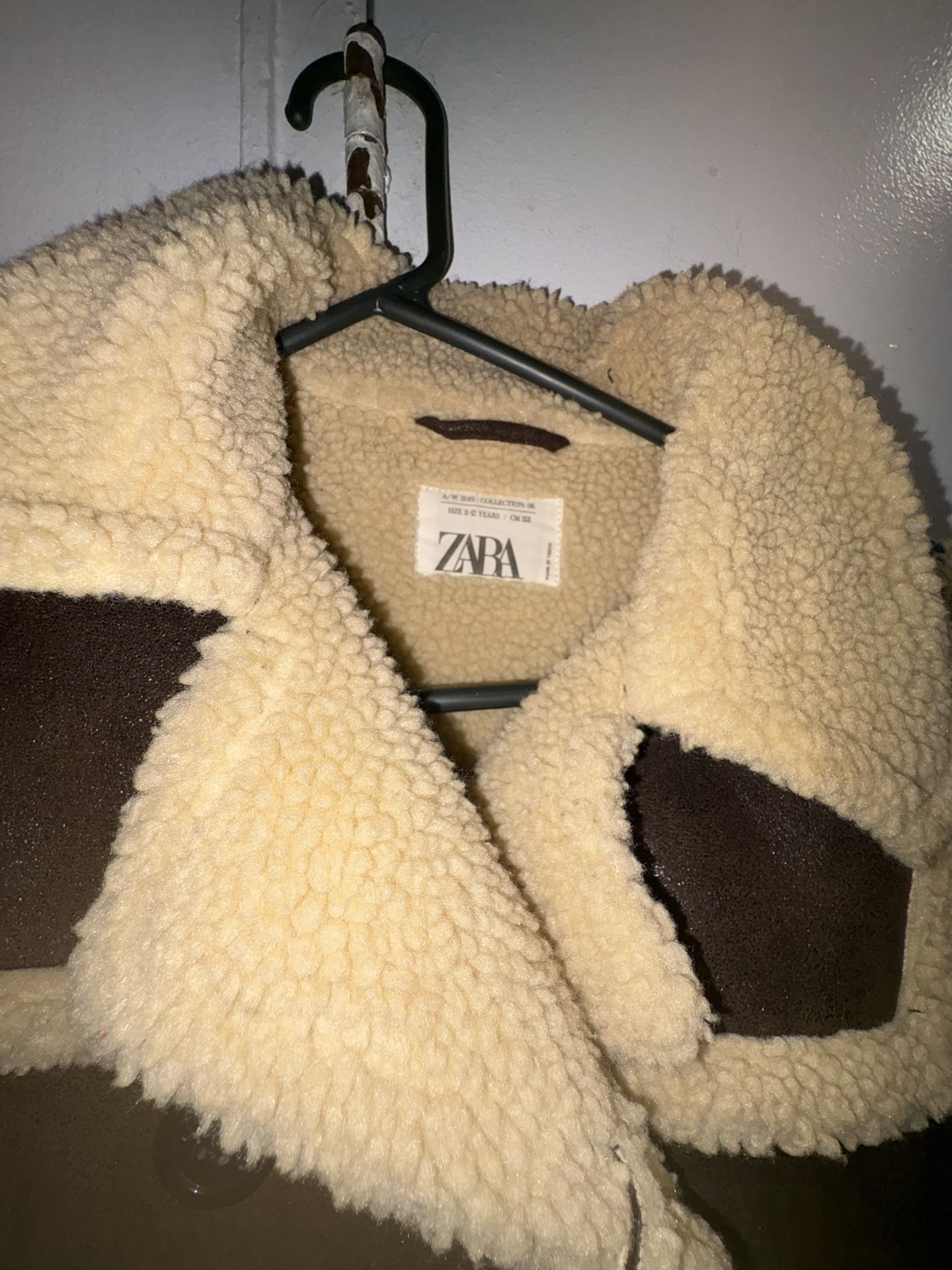 Zara Shearling Jacket
