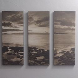 3 Panel Printed Canvas Art