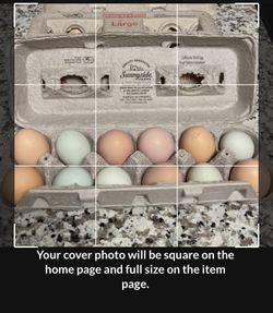 Eggs For sale