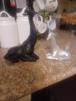 Giraffes