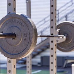 15kg/33lb And 20kg/45lb Barbells