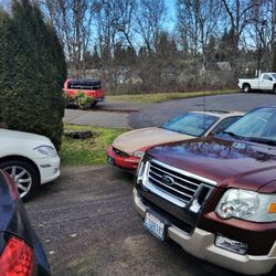 2009 Ford Expedition