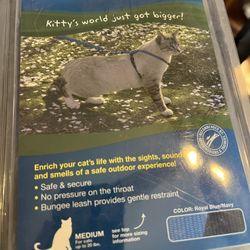 Cat Harness   Pu Bridgewater 